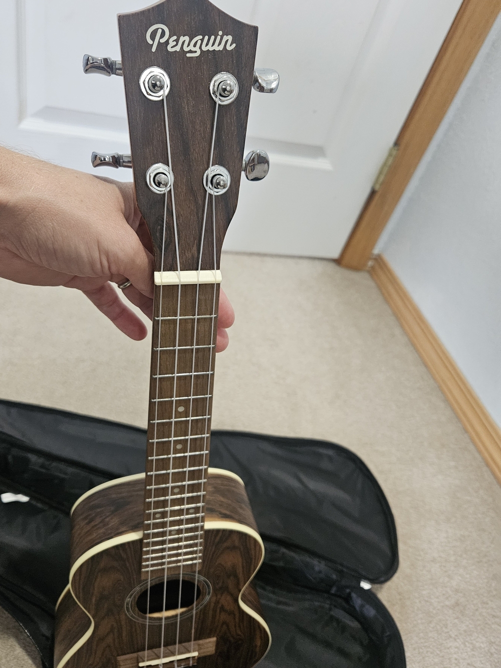 Concert Ukulele - Picture 7 of 10